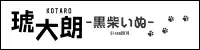 黒柴犬 琥大朗サイト