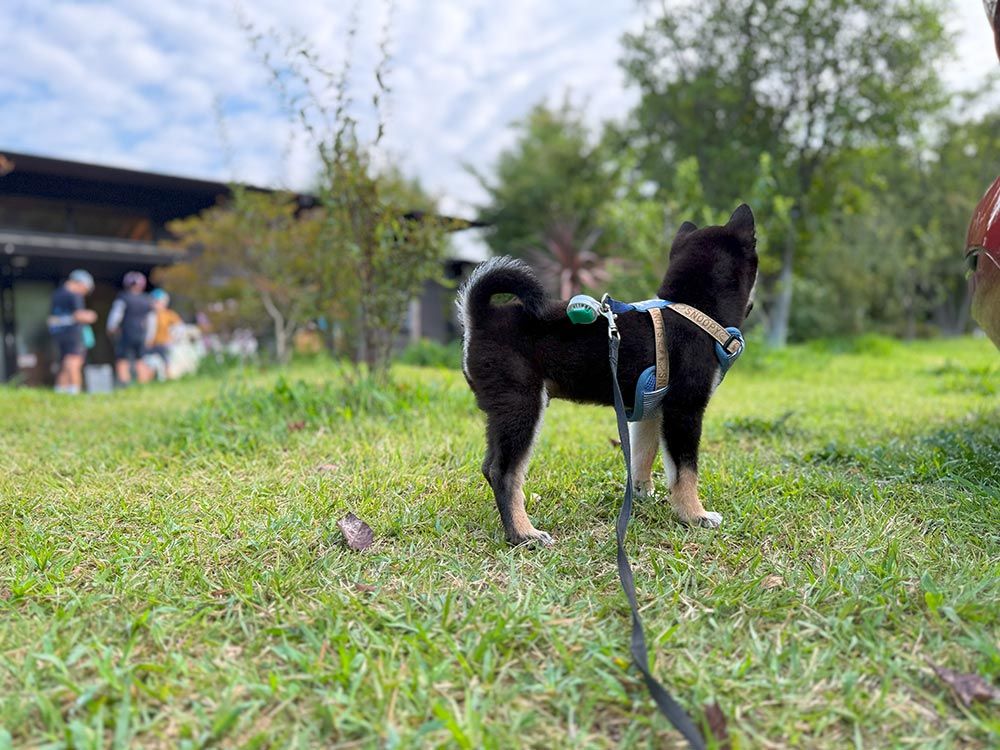 町田薬師池公園 四季彩の杜 西園