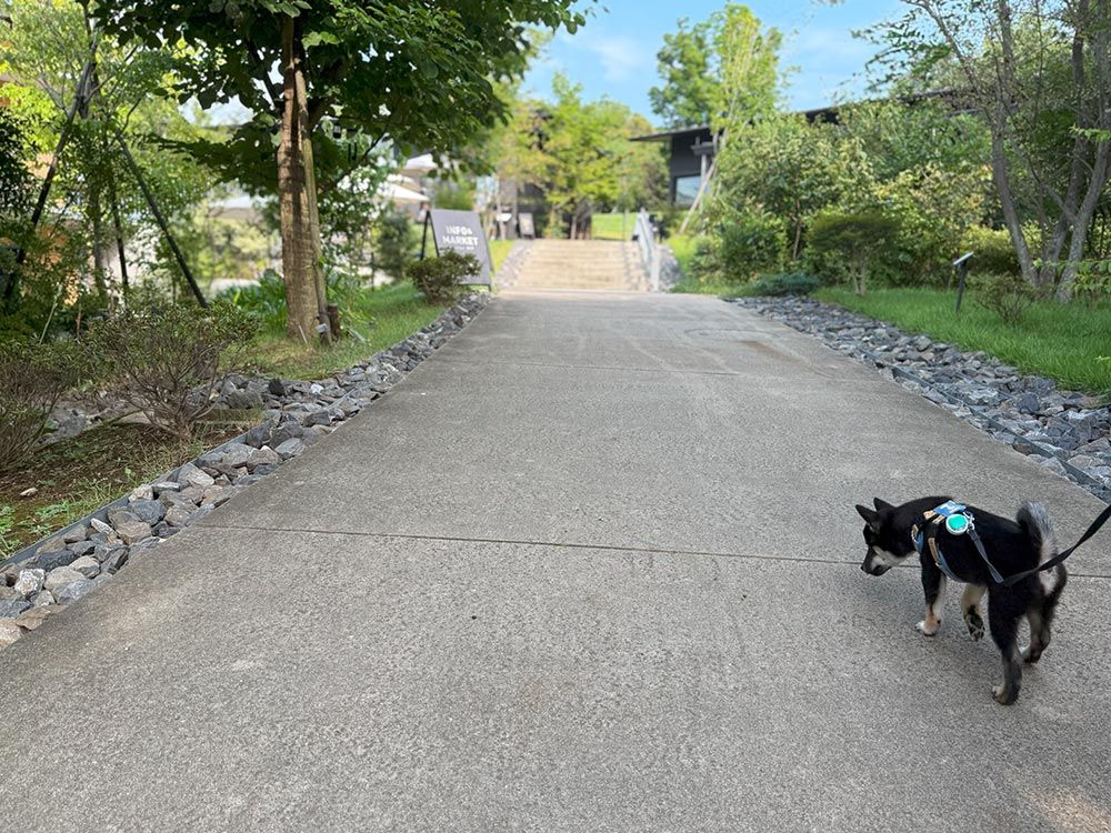 町田薬師池公園 四季彩の杜 西園