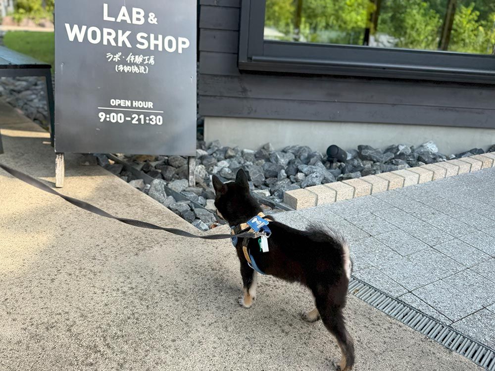 町田薬師池公園 四季彩の杜 西園