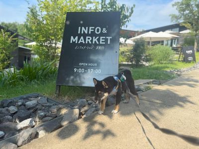 町田薬師池公園 四季彩の杜 西園