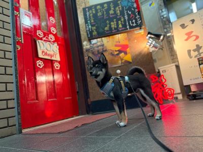 中華ダイニング いろは