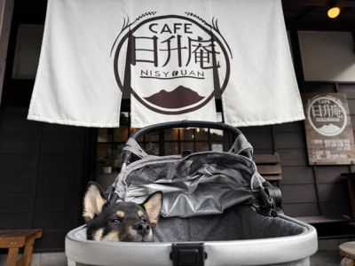 CAFE 日升庵