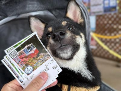 筑波山ケーブルカー