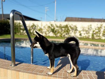 Grande Private Dog Resort 常陸