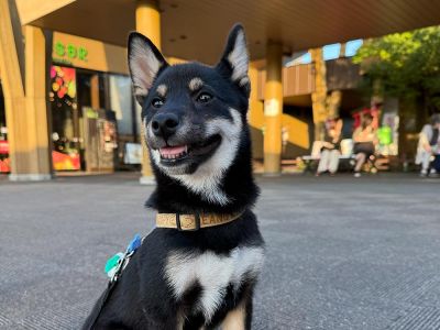 守谷サービスエリア 上り