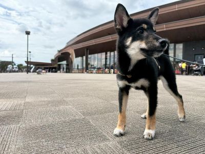 守谷サービスエリア 下り
