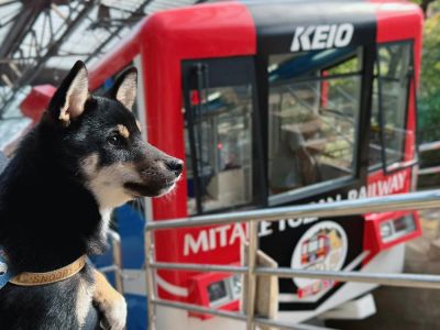 御岳山ケーブルカー（御岳山登山鉄道）
