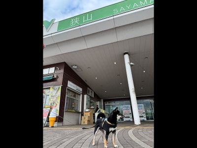 狭山パーキングエリア 外回り