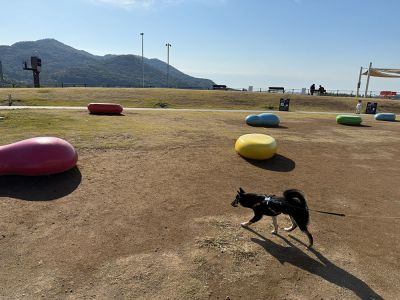 佐野サービスエリア 下り