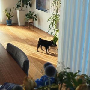 六砥ギャラリー 自宅フォト