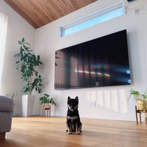 六砥ギャラリー 自宅フォト