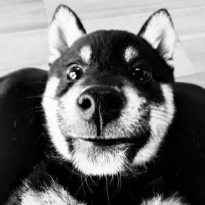 六砥ギャラリー 自宅フォト