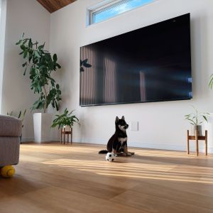 六砥ギャラリー 自宅フォト