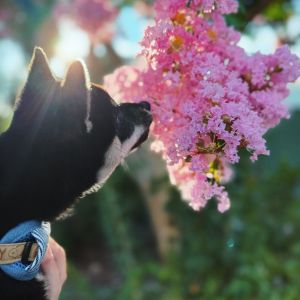 六砥ギャラリー 散歩フォト