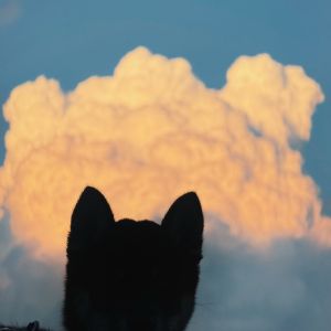 六砥ギャラリー 散歩フォト