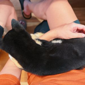 六砥ギャラリー 自宅フォト