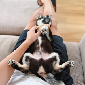 六砥ギャラリー 自宅フォト