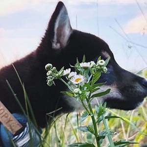 六砥ギャラリー 散歩フォト