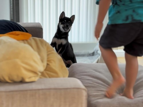 友達の4歳児と鬼ごっこみたいで楽しそう！