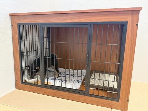 購入したケージ