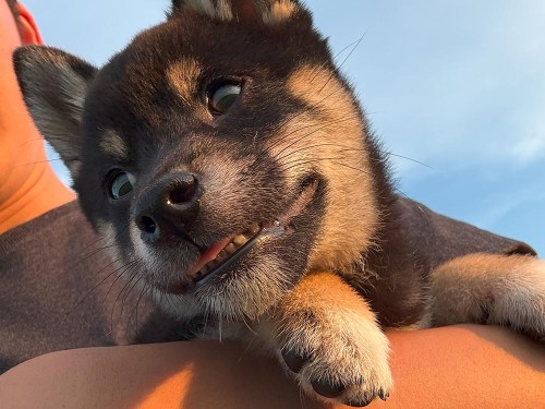 外に出て社会化！