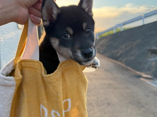 友達が描いてくれました！六砥そっくり！