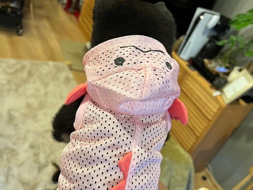 ウーパールーパーの服