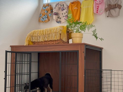 先日いただいた洋服を飾ってみた。