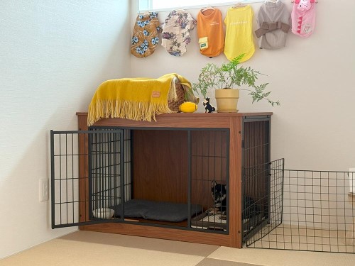 先日いただいた洋服を飾ってみた。