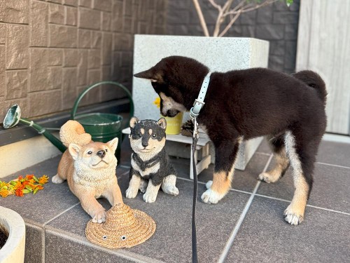 最後に家の前の置物と