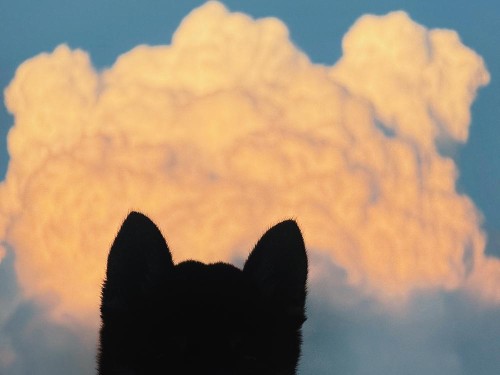 入道雲すごっ！