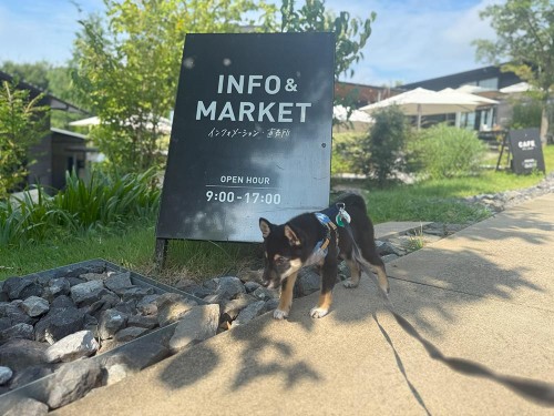 車に乗ってお出かけ in 薬師池公園（西園）