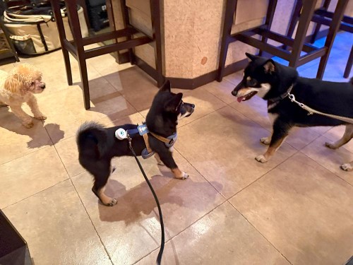 仲良くしてね！