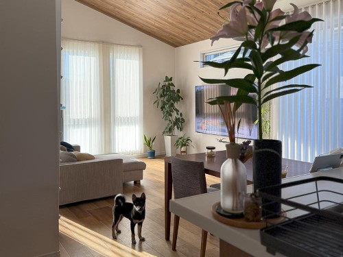 子犬の成長は早い！