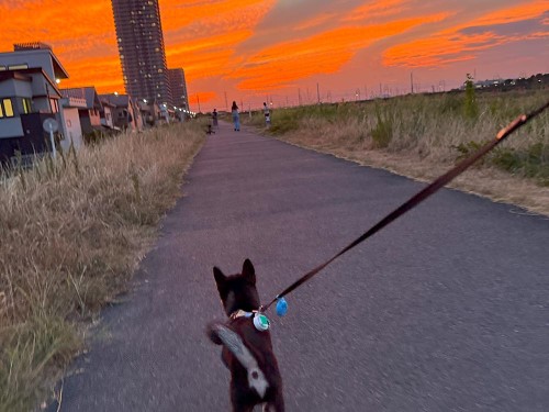 すごい夕焼け！だけど、天気は下り坂かな？！