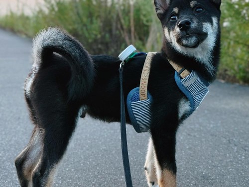 足が長いのはこれから成長する証拠！