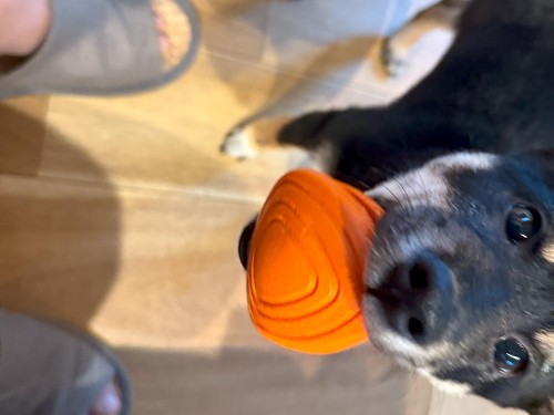 緩めて！おねがい！