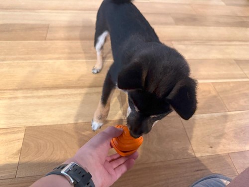 はい、どうぞ！