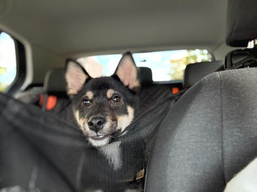 初旅行！茨城へ行ってきました。（1日目）