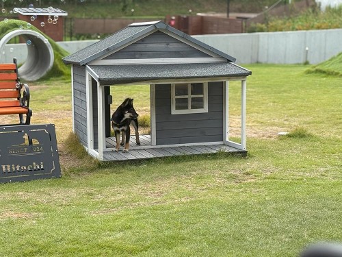初旅行！茨城へ行ってきました。（1日目）