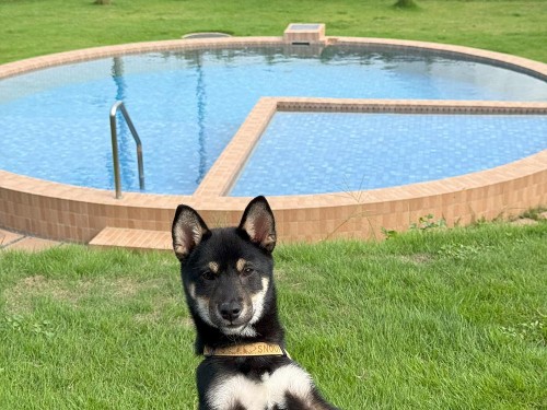 初旅行！茨城へ行ってきました。（1日目）