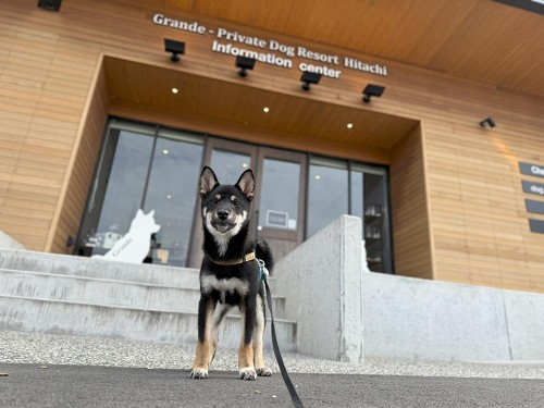 初旅行！茨城へ行ってきました。（1日目）