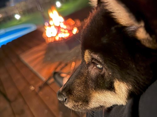 初旅行！茨城へ行ってきました。（1日目）