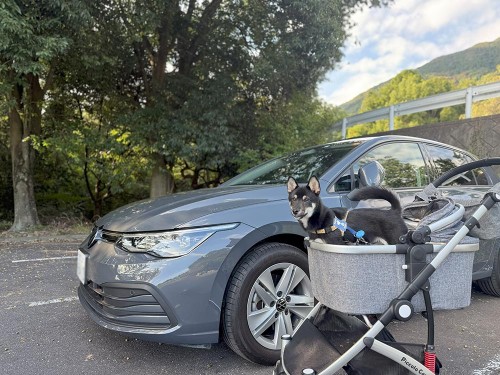 ドライブ楽しいー