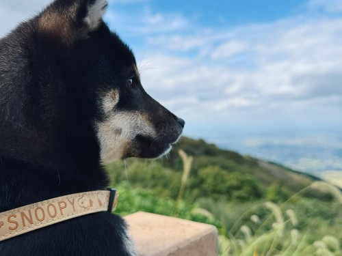 絶景だったね！