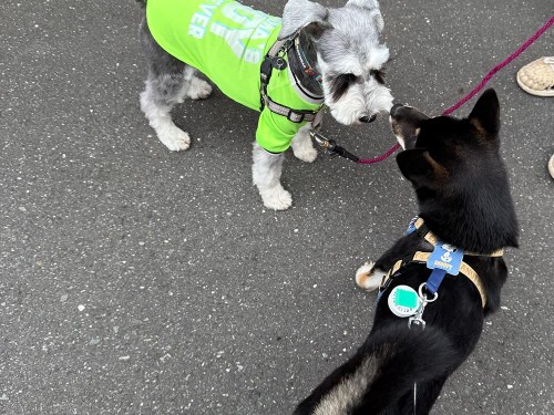 ご近所のムック先輩と！