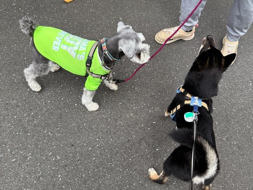 ご近所のムック先輩と！