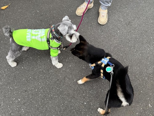 ご近所のムック先輩と！