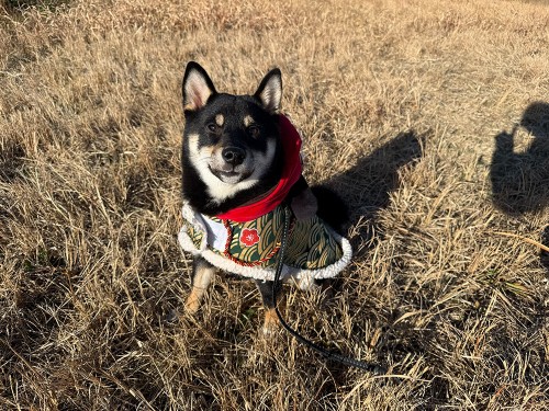 獅子舞で厄払い！